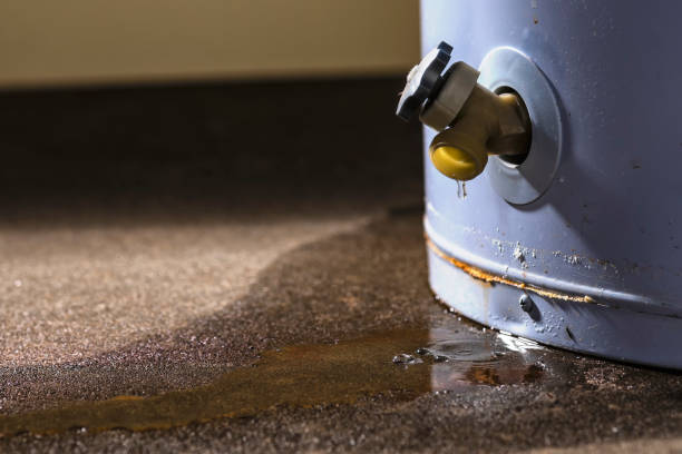 Best Mold removal after water damage  in Lower Lake, CA