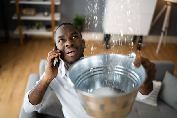 Best Water damage restoration experts  in Lower Lake, CA