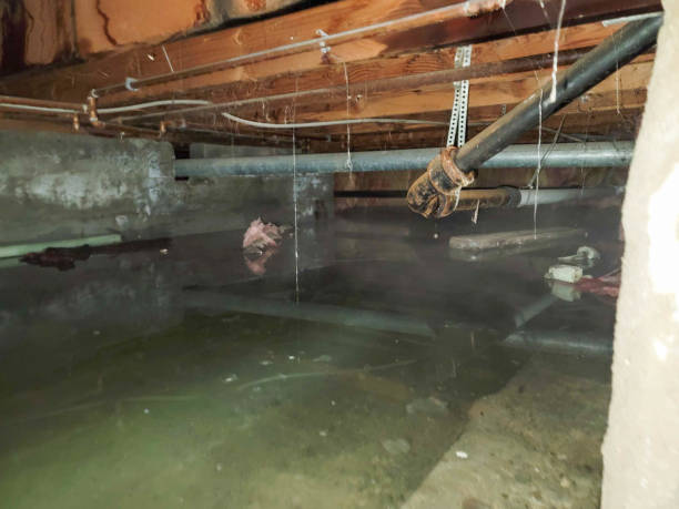 Best Water damage restoration insurance claims  in Lower Lake, CA