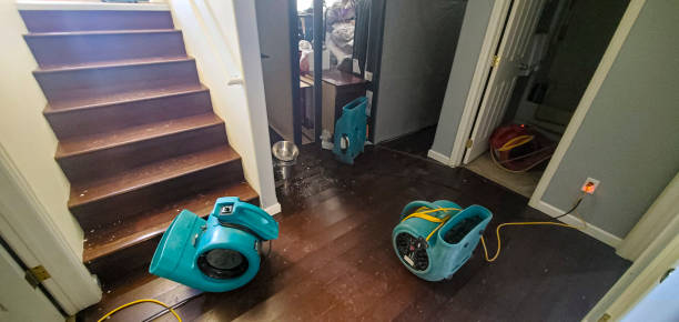 Best Water damage restoration near me  in Lower Lake, CA