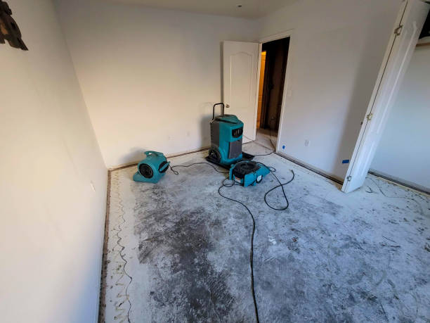 Best Water damage cleanup near me  in Lower Lake, CA