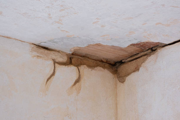 Best Basement water damage restoration  in Lower Lake, CA