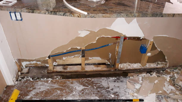 Best Flood damage cleanup  in Lower Lake, CA