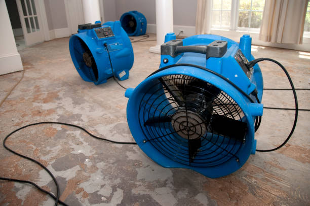 Best Mold removal after water damage  in Lower Lake, CA