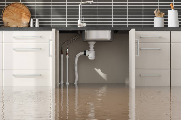 Best Professional water damage repair  in Lower Lake, CA