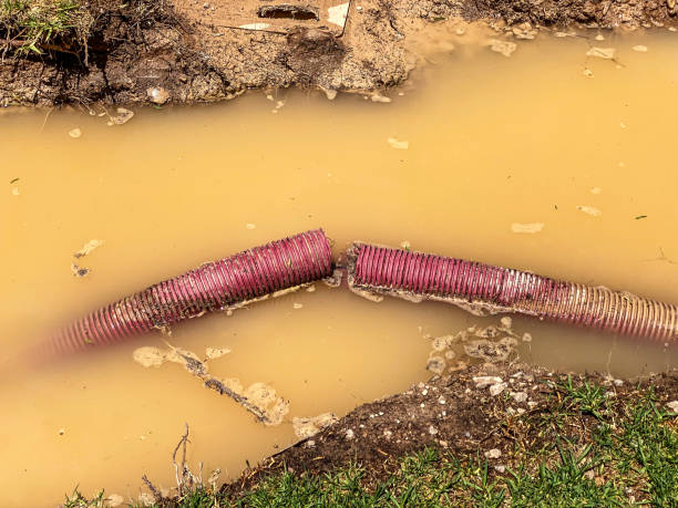  Lower Lake, CA Water damage restoration Pros